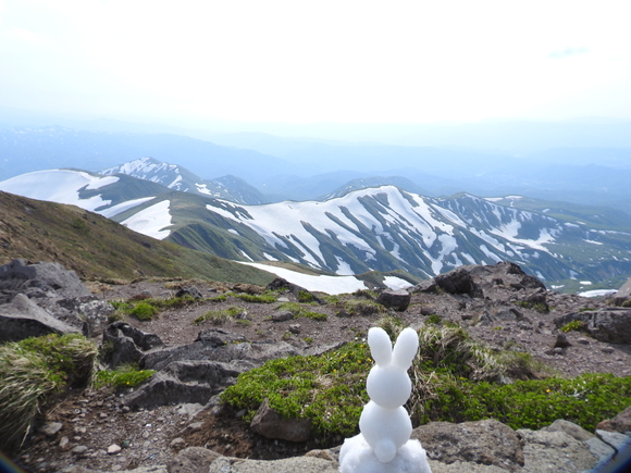 f0118332_03537.jpg