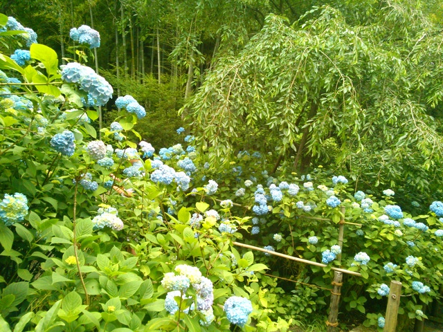 f0153932_20573818.jpg