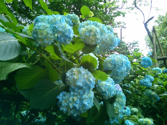 f0153932_2127083.jpg