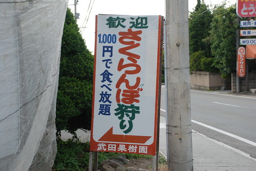 f0041138_20152464.jpg