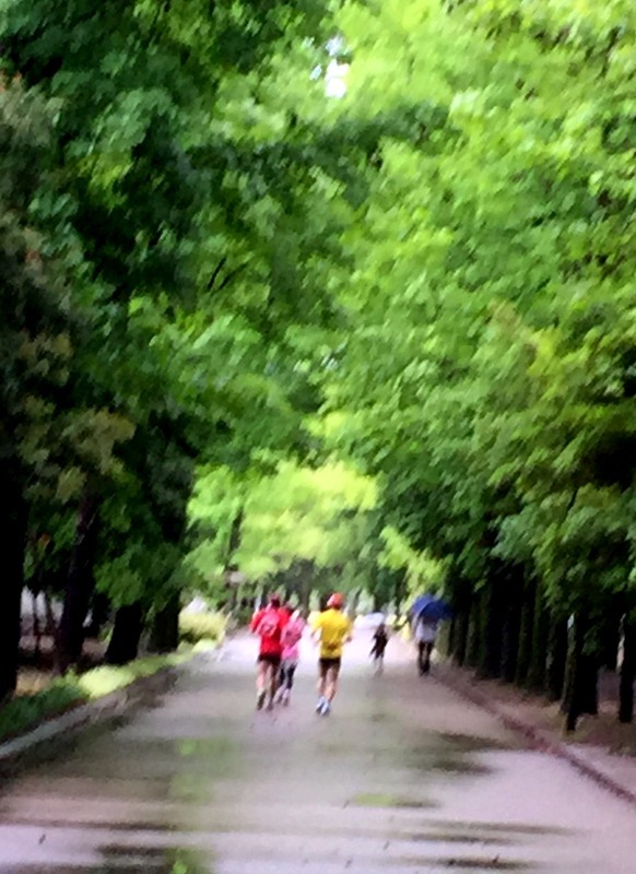 b0057140_23190471.jpg