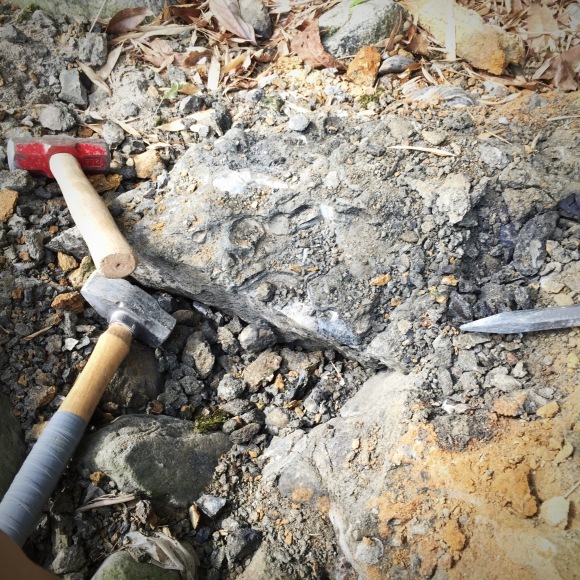 c0312349_11272862.jpeg