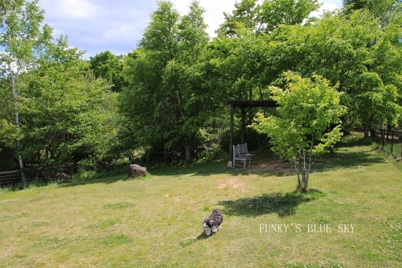 c0145250_20155935.jpg