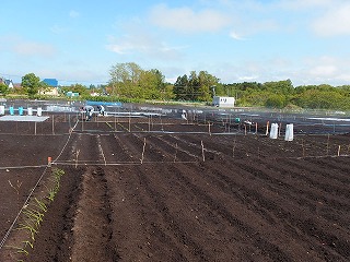 e0004756_2132247.jpg