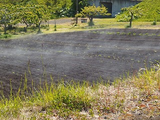 e0004756_21352883.jpg