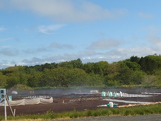 e0004756_21363116.jpg