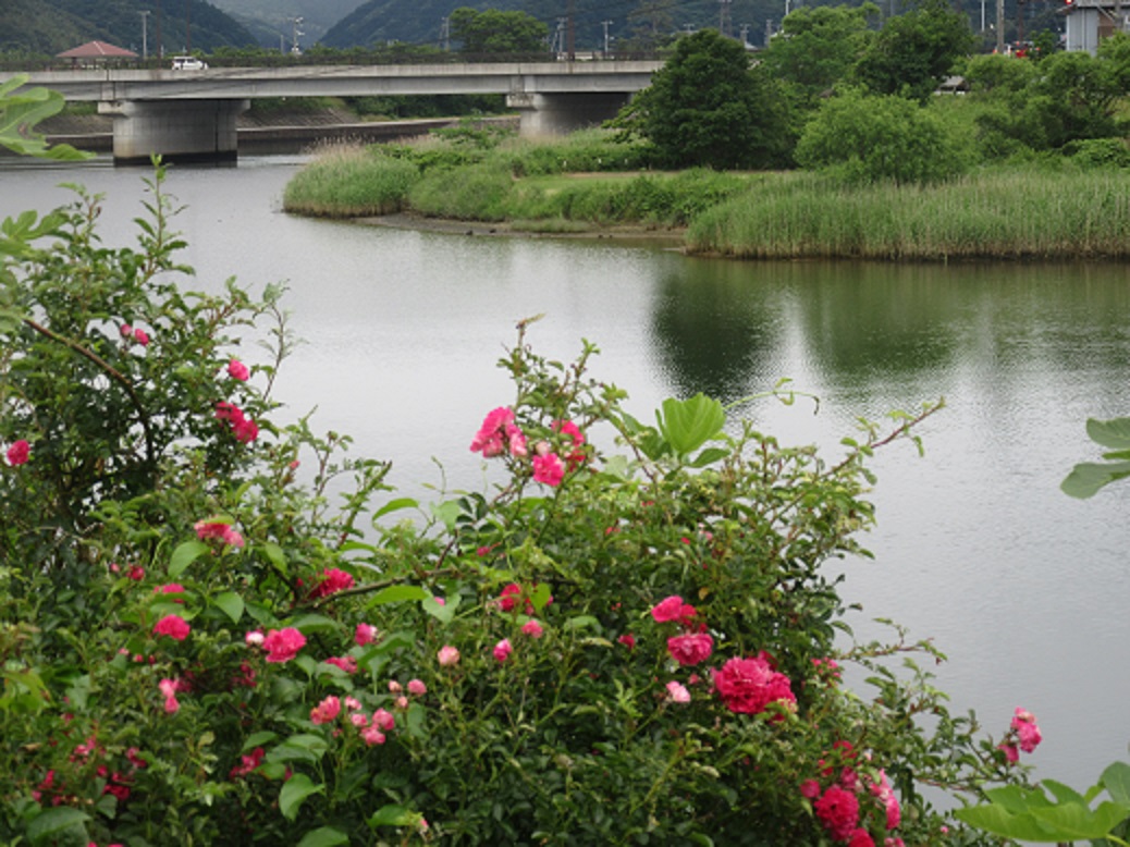 f0113862_22274119.jpg