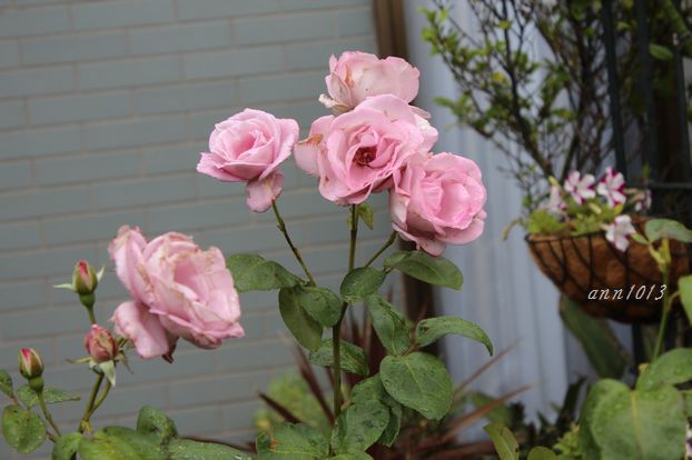 e0232963_20211752.jpg