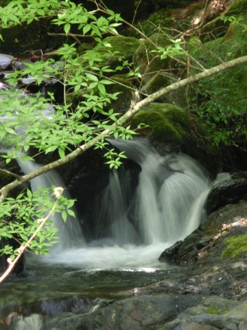 e0045768_22375958.jpg