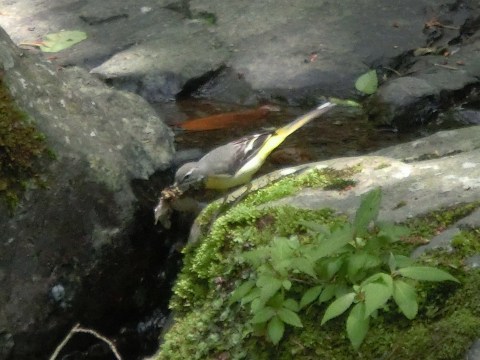 e0045768_2238894.jpg