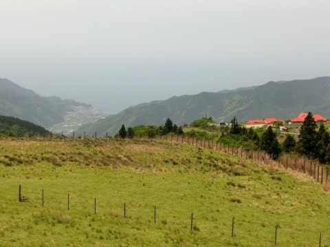 e0045768_22455922.jpg