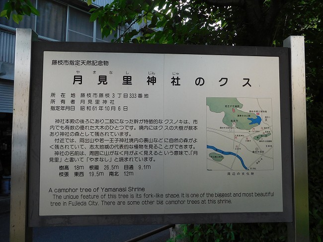 b0007571_20155580.jpg