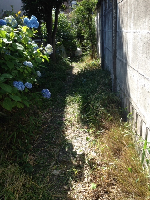 c0268274_17433341.jpg