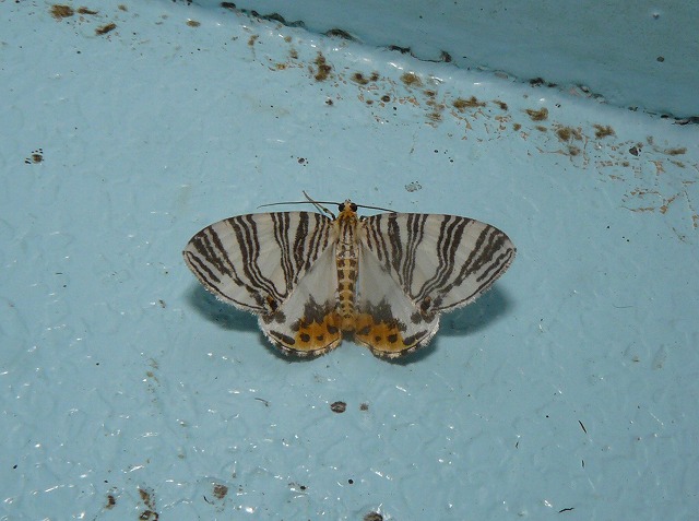 d0019074_1122573.jpg