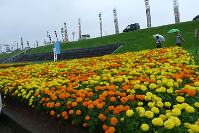 c0152779_2181644.jpg