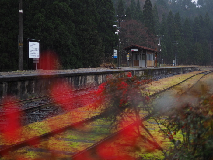 d0352387_12161233.jpg