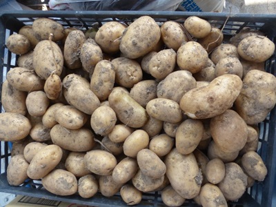 f0357487_20521338.jpg