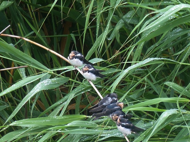 f0357487_2165071.jpg