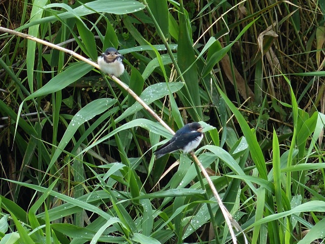 f0357487_2172695.jpg