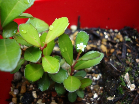 c0322794_22254745.jpg