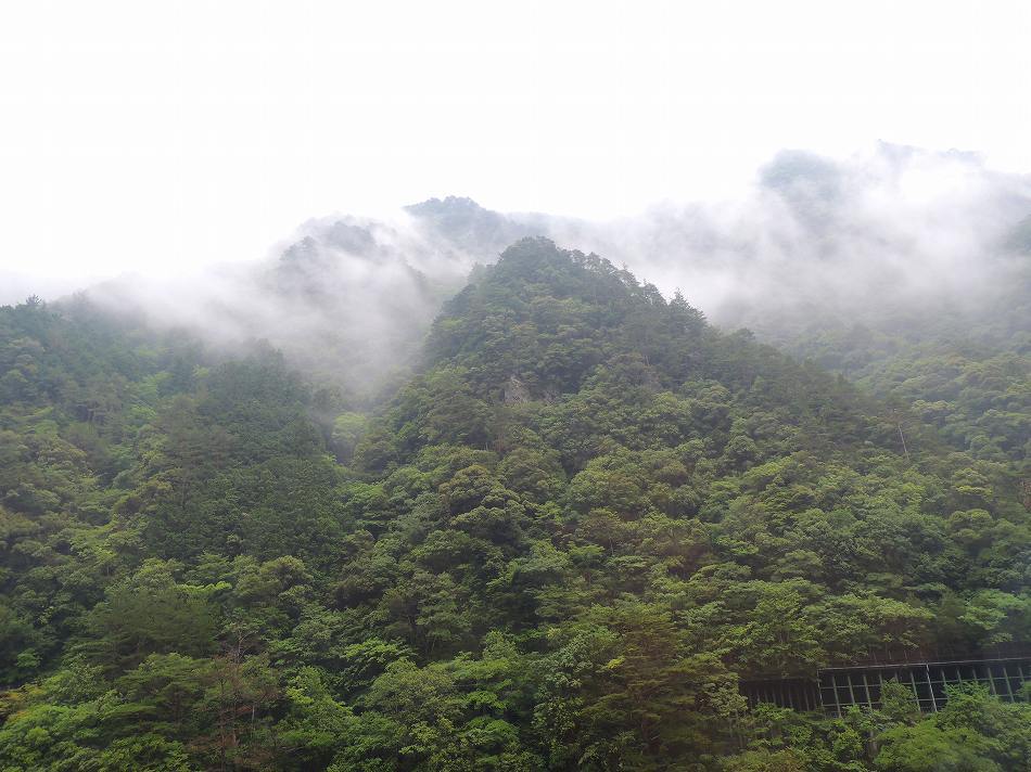 c0265095_10204356.jpg