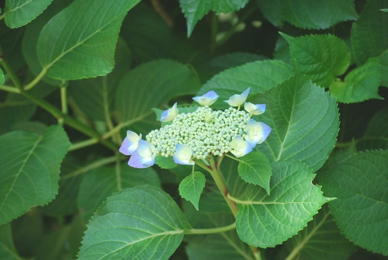e0025300_2105655.jpg