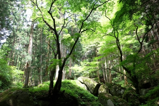 f0113108_10081592.jpg