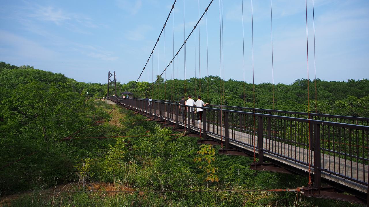 b0021211_11521466.jpg