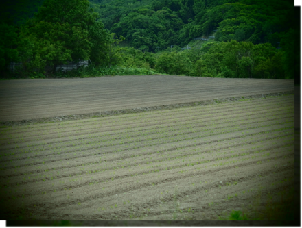 a0114514_1949323.png