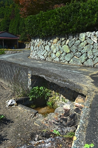 c0168815_01011886.jpg