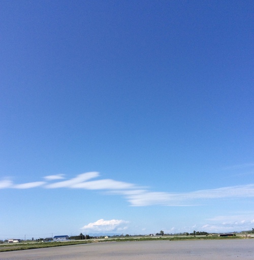 e0052716_1342397.jpg