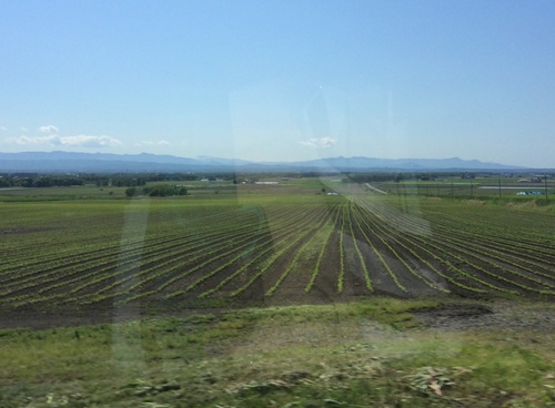 e0052716_13434437.jpg