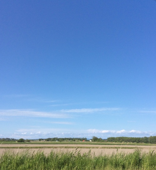 e0052716_13452418.jpg