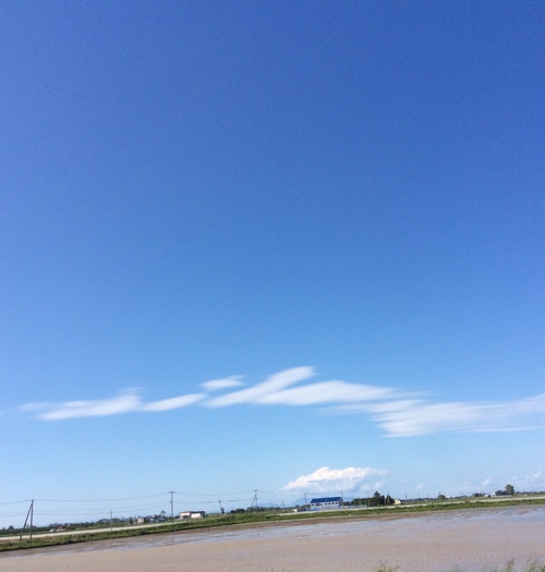 e0052716_13461984.jpg