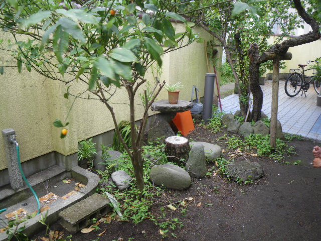 b0096418_1102380.jpg