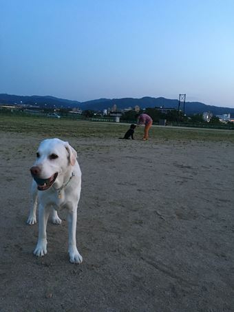 c0114121_0511524.jpg