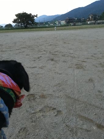 c0114121_104438.jpg