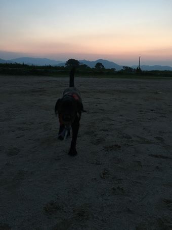 c0114121_105118.jpg