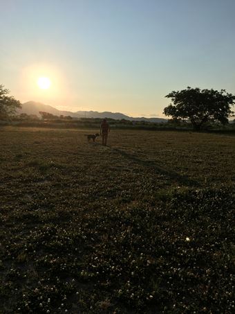 c0114121_1163534.jpg