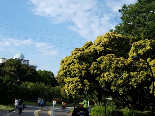e0016828_11582817.jpg