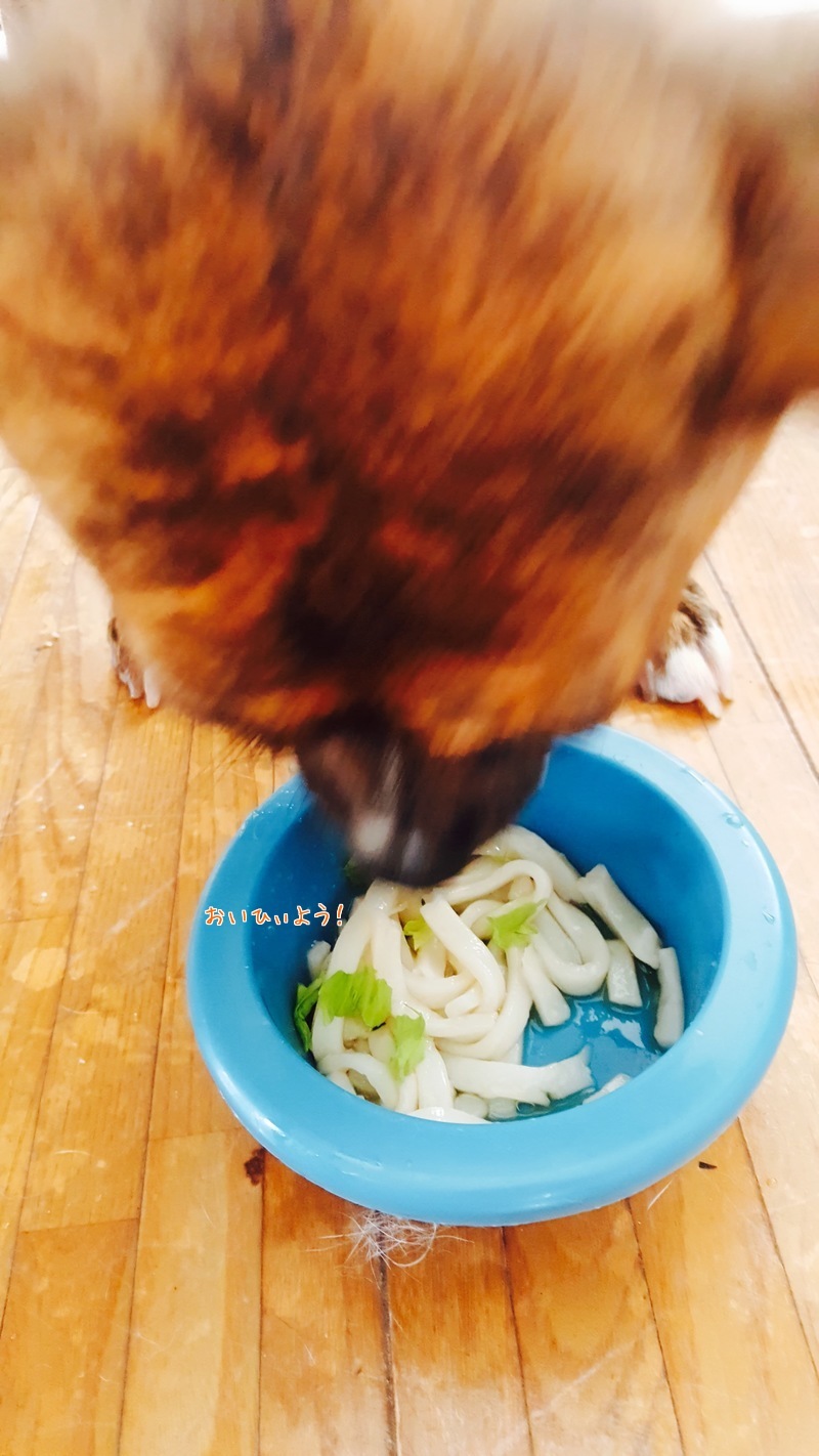 d0269832_14172518.jpeg
