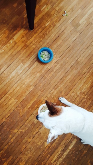 d0269832_14245484.jpeg