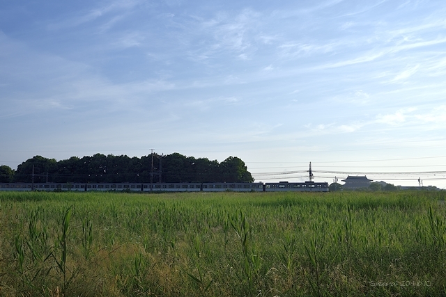 a0212036_08165657.jpg