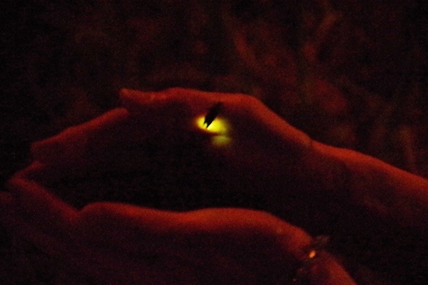 b0312736_22284867.jpg