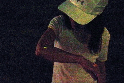 b0312736_22311970.jpg