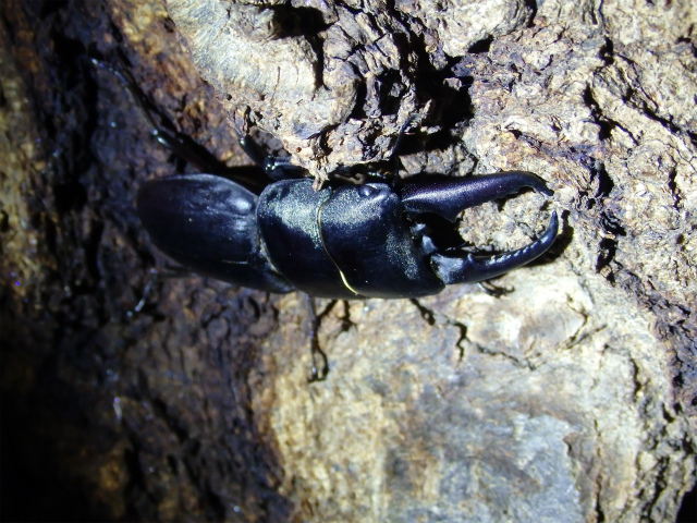 f0104042_2348989.jpg