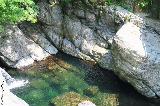 f0351853_01020492.jpg
