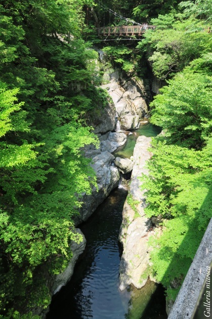 f0351853_01021982.jpg