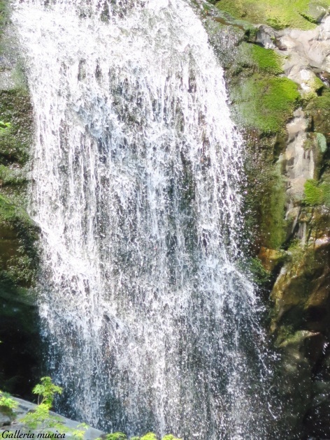 f0351853_01030842.jpg