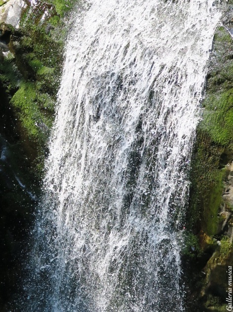 f0351853_01031790.jpg